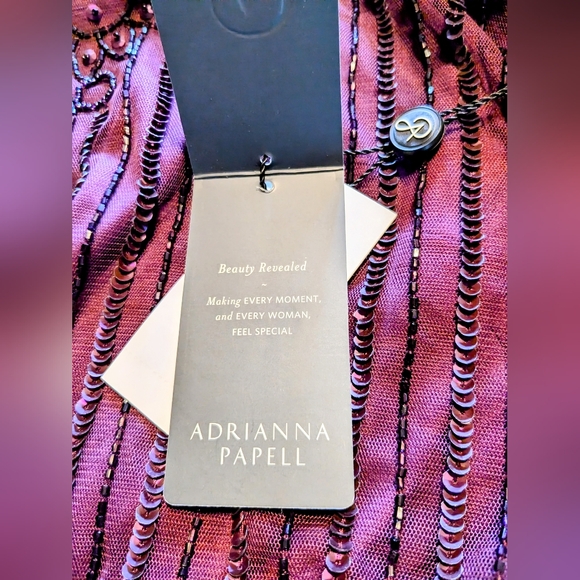 NWT, Adriana Papell, Cassis Colored, Simmering Beaded, Blouson Gown, Size 18W - Picture 9 of 14